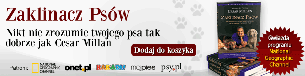 Zaklinacz Ps�w