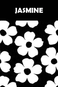 FLORES JASMINE