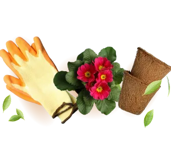 Ogr�d i ro�liny